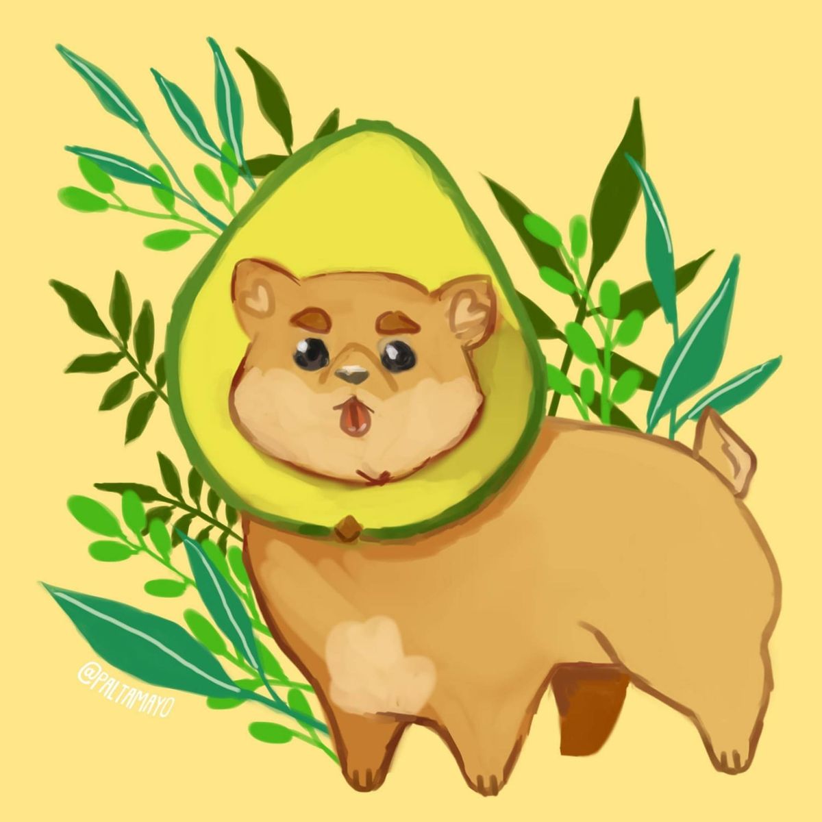 Profile Image