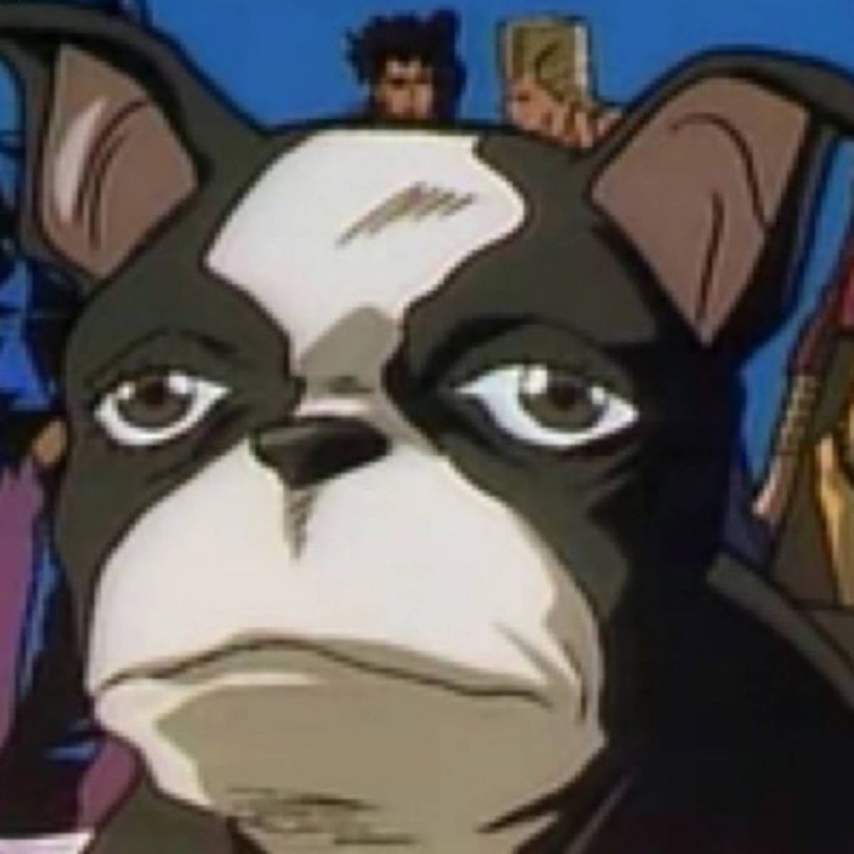 Profile Image