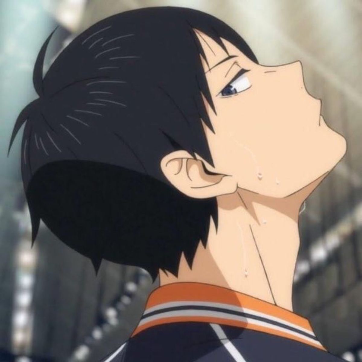 Profile