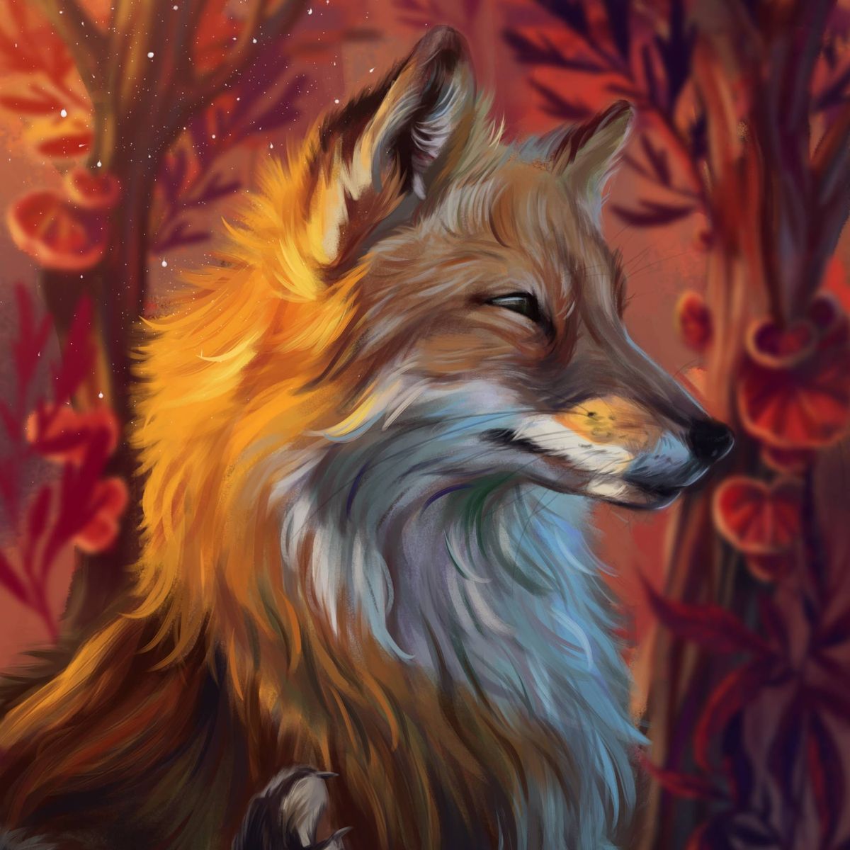 Profile Image