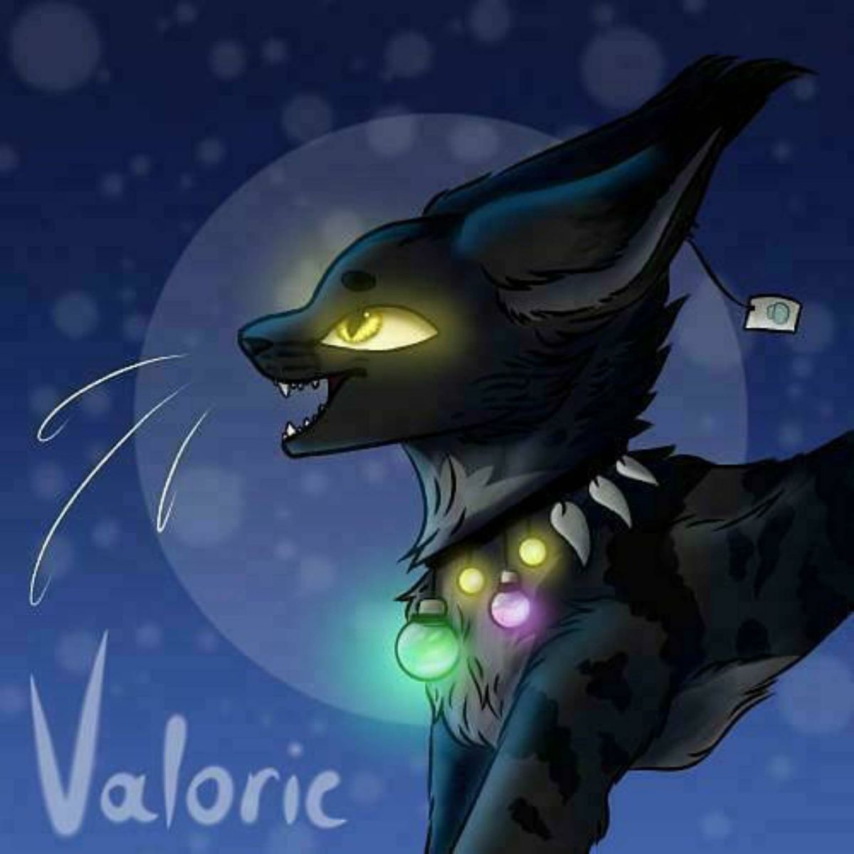 Profile Image