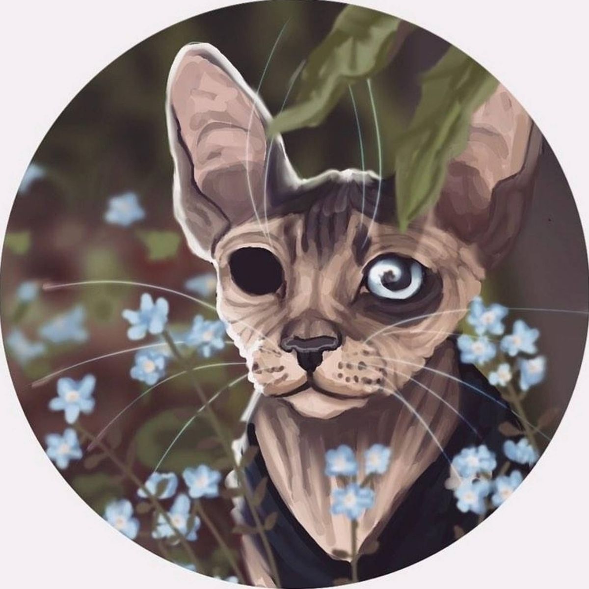 Profile Image