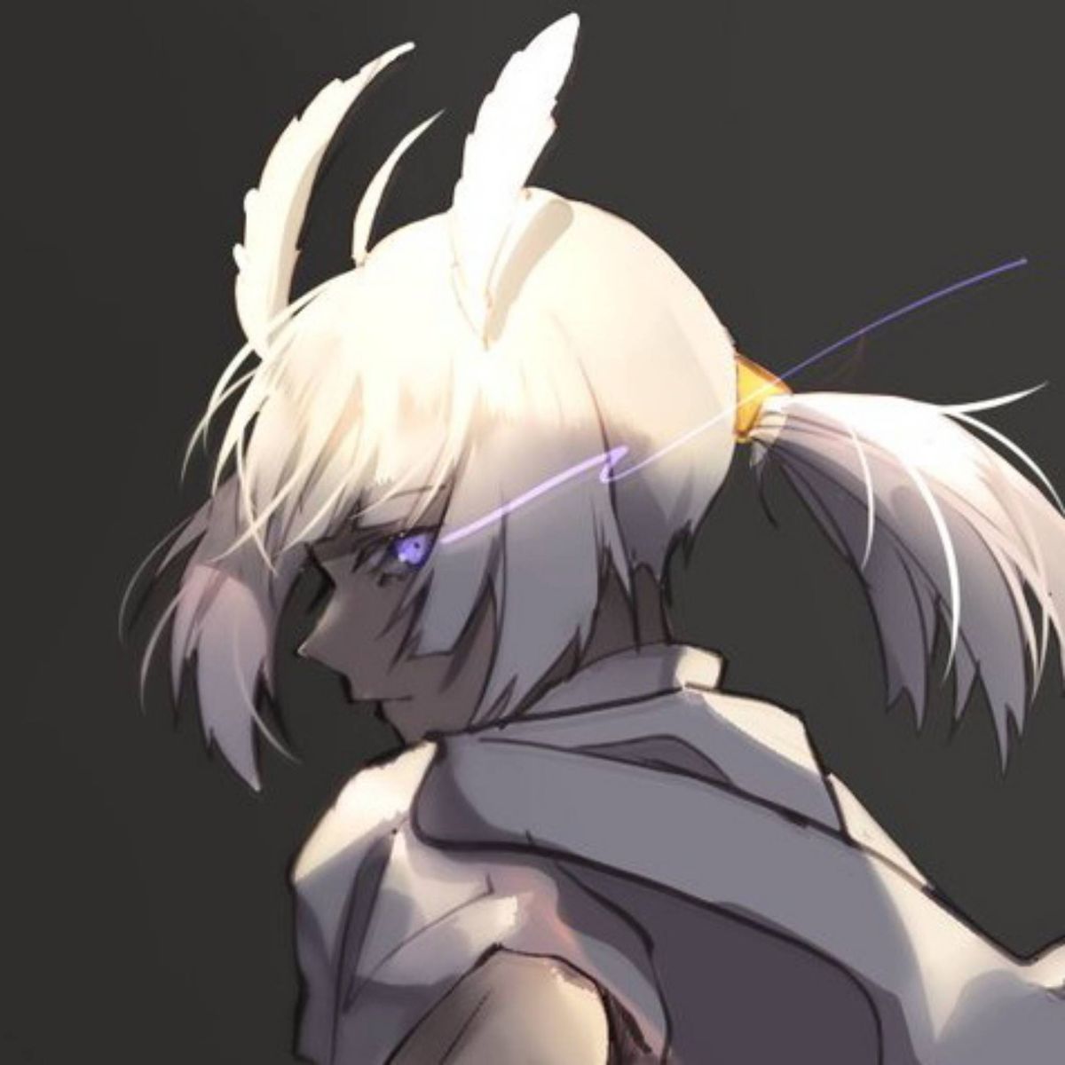 Profile