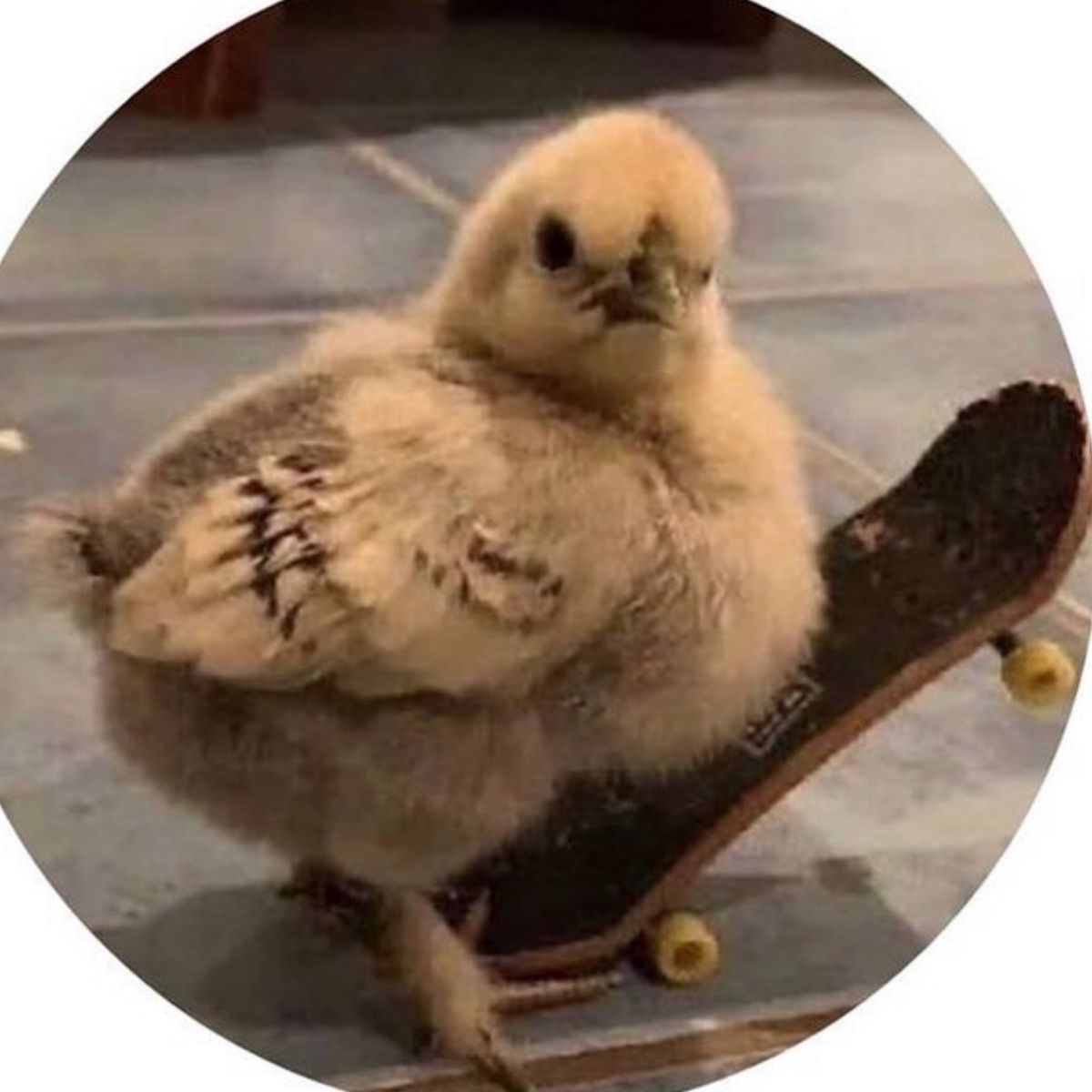 Profile Image