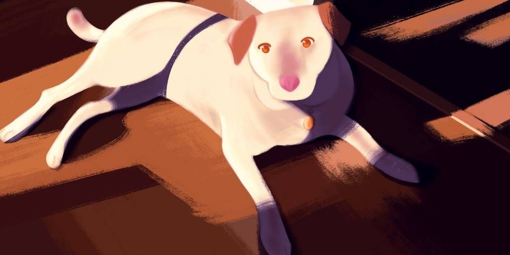 Hero artwork