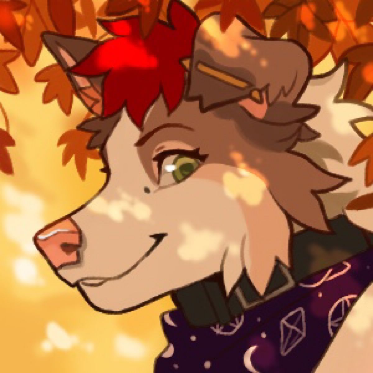 Profile Image