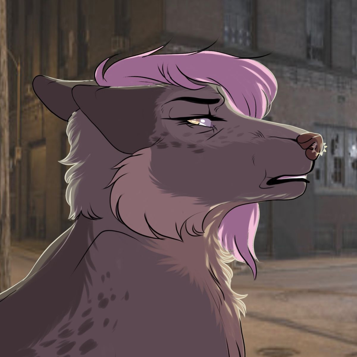 Profile Image