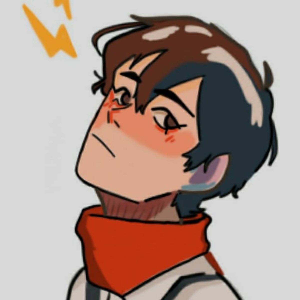 Profile