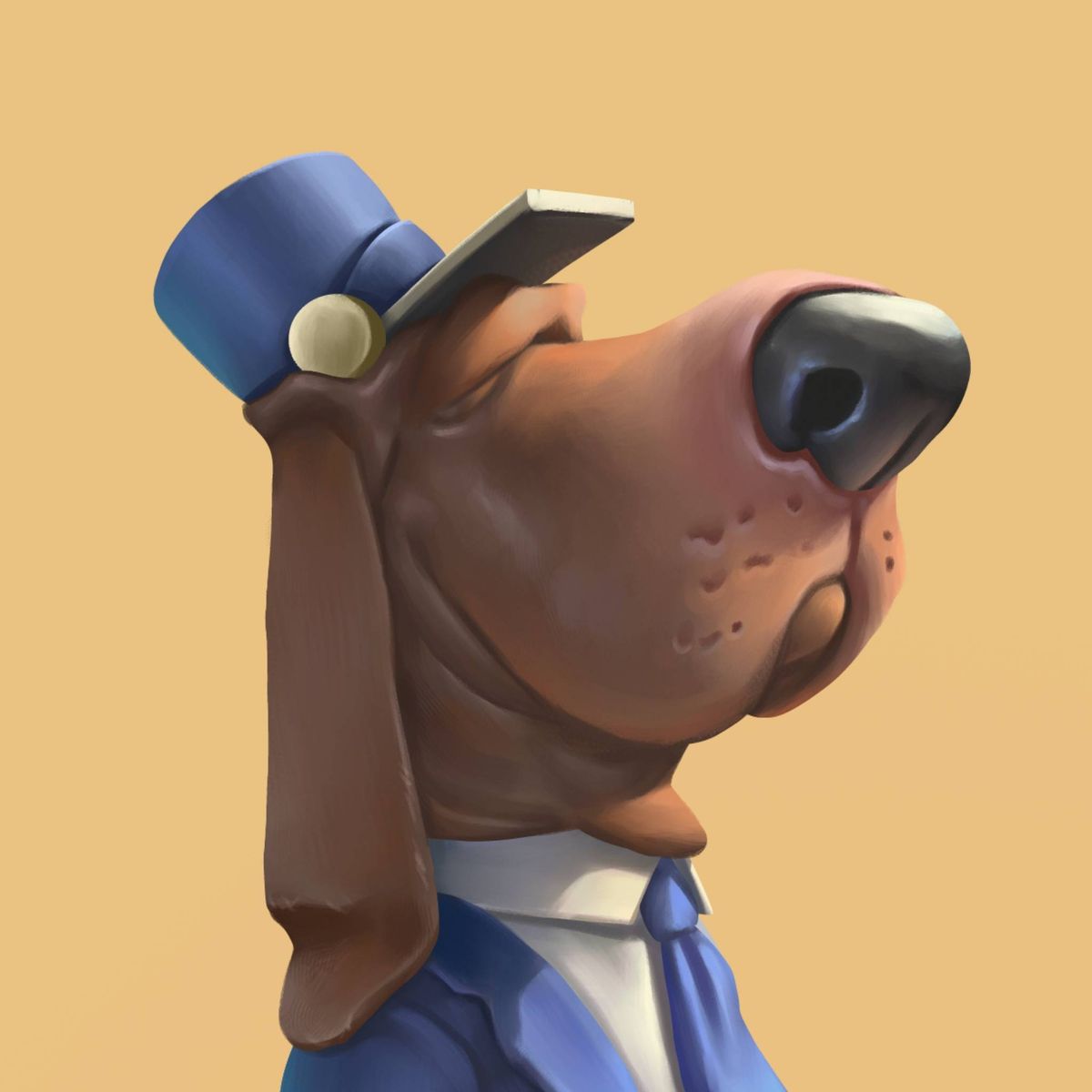 Profile