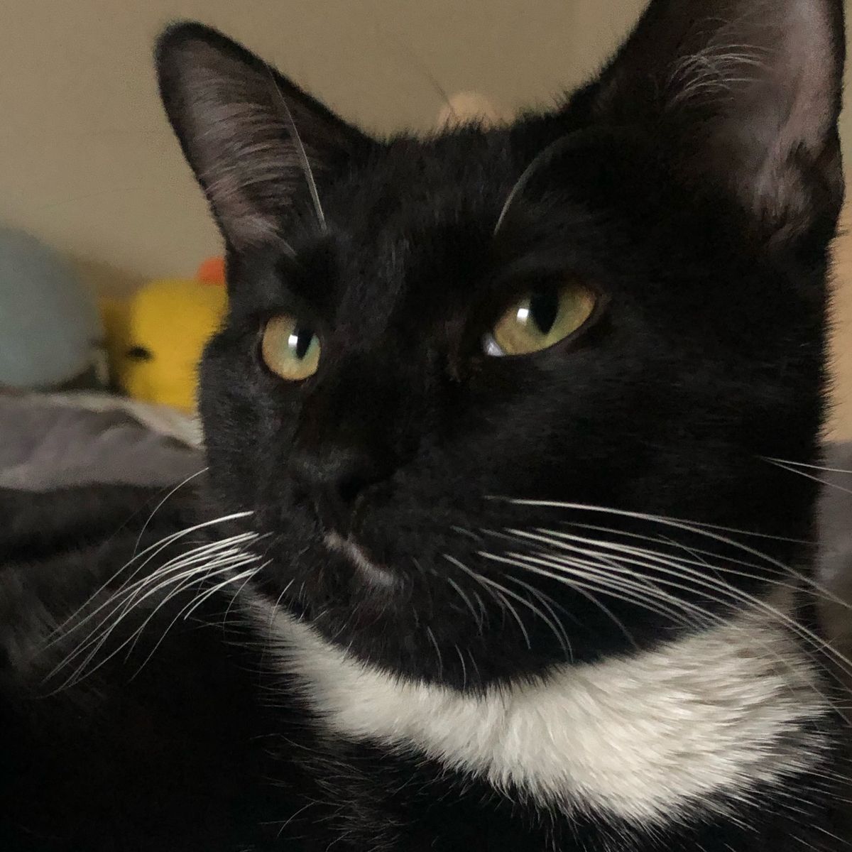 Profile Image