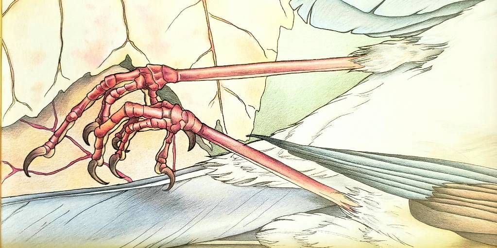 Hero artwork