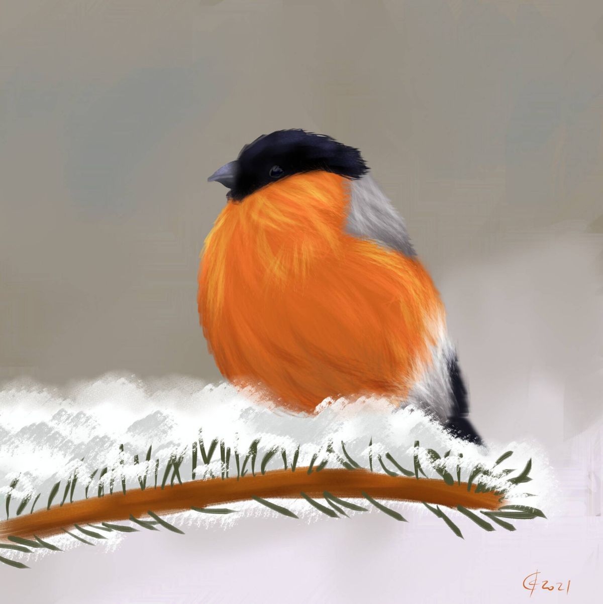 Profile