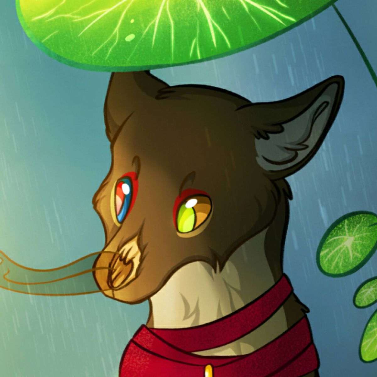 Profile Image