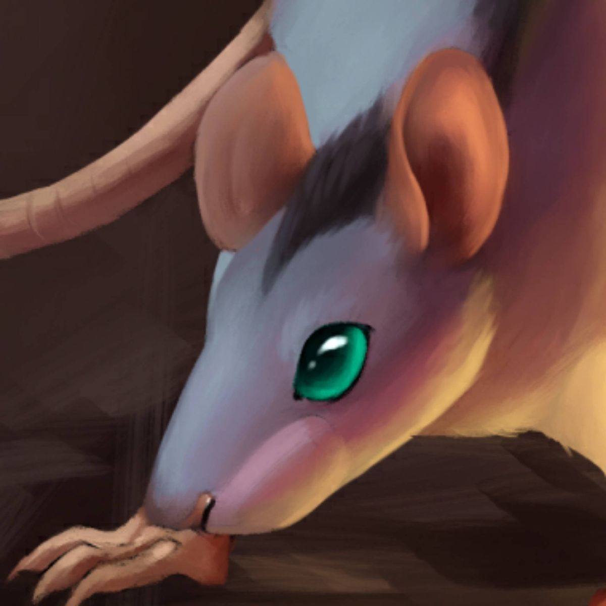 Profile Image