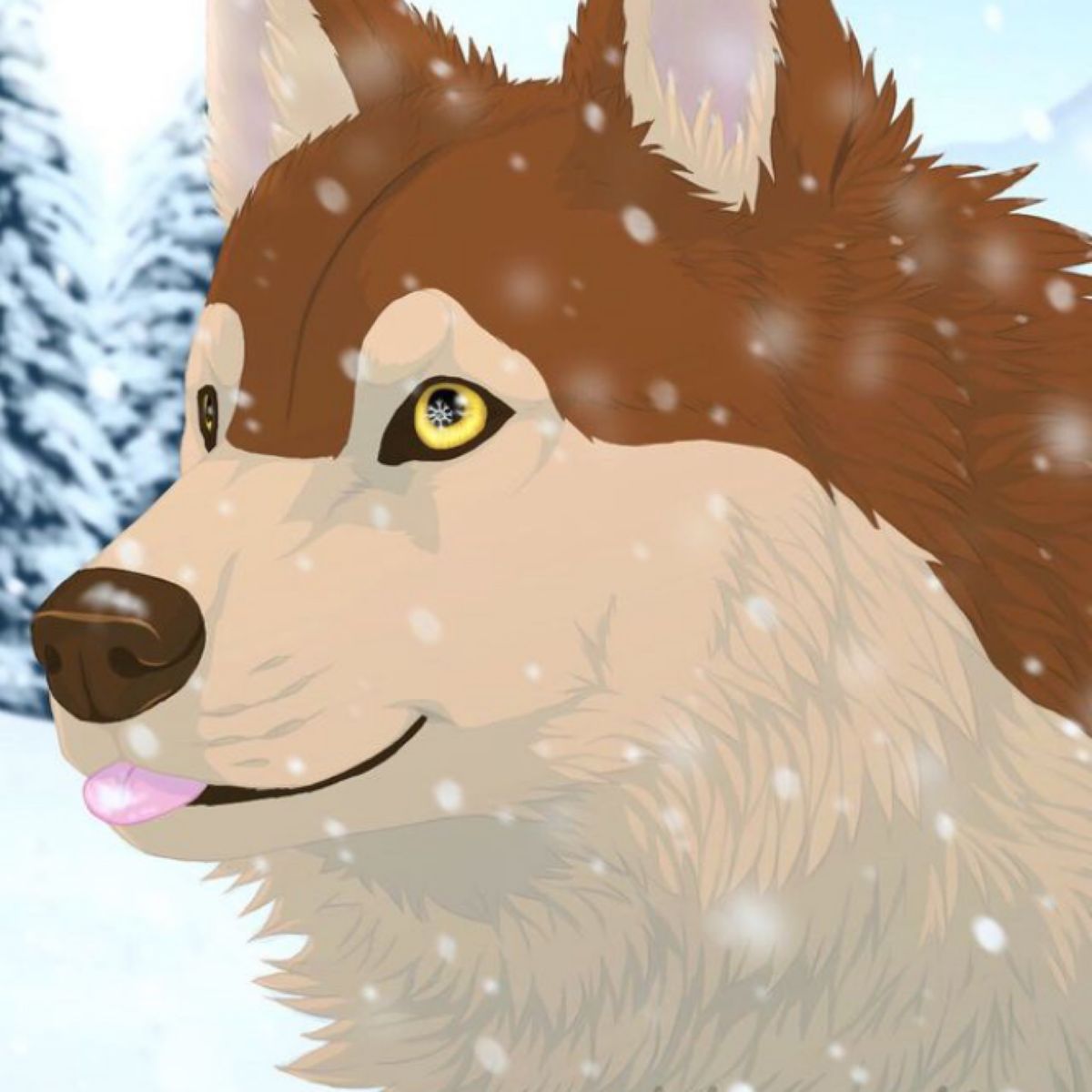 Profile Image