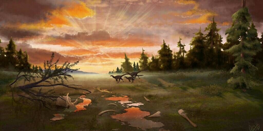 Hero artwork