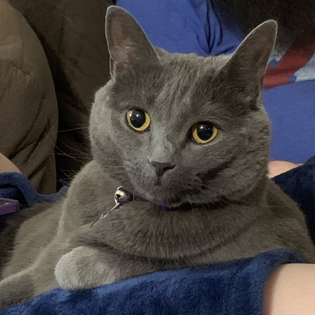 Profile Image