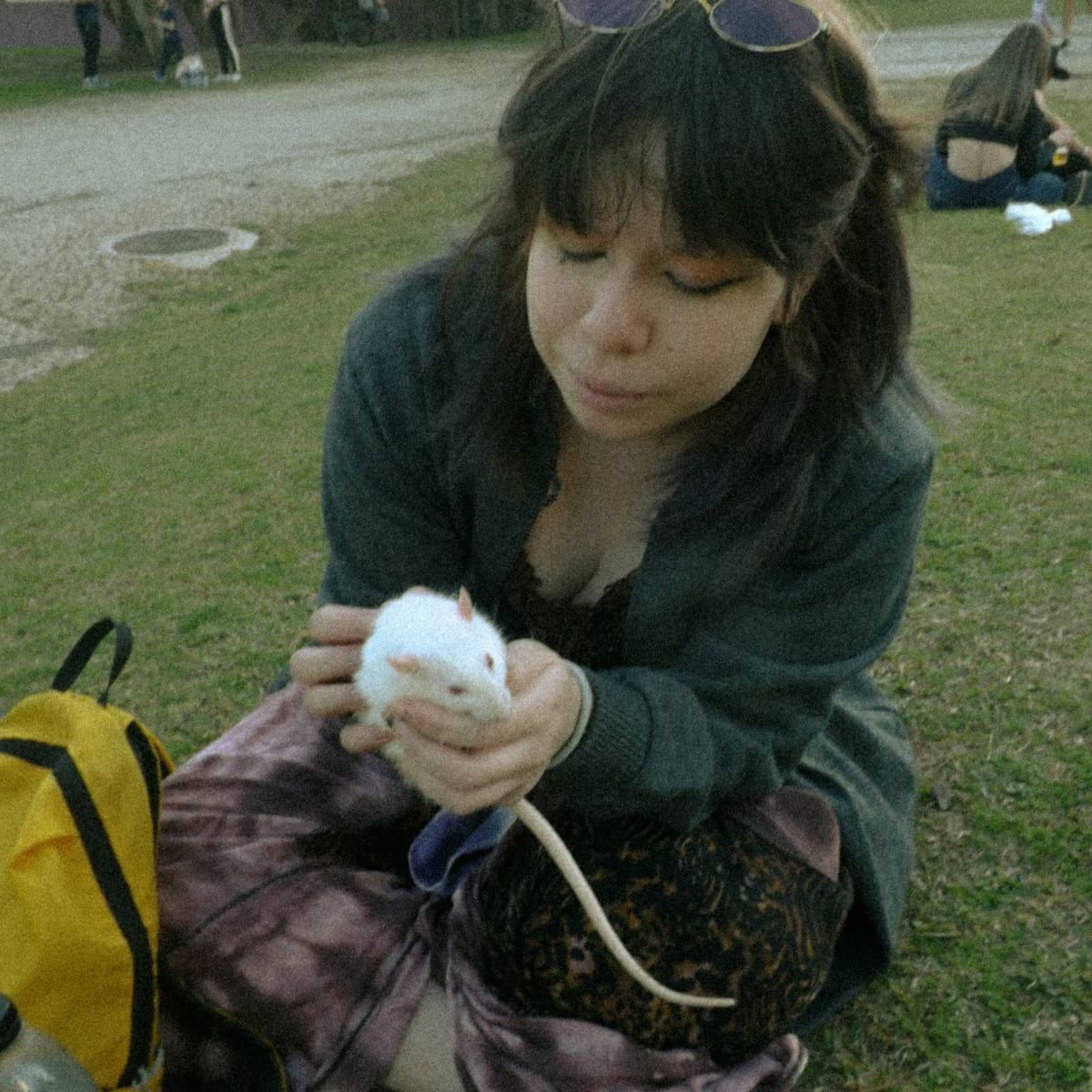 Profile Image