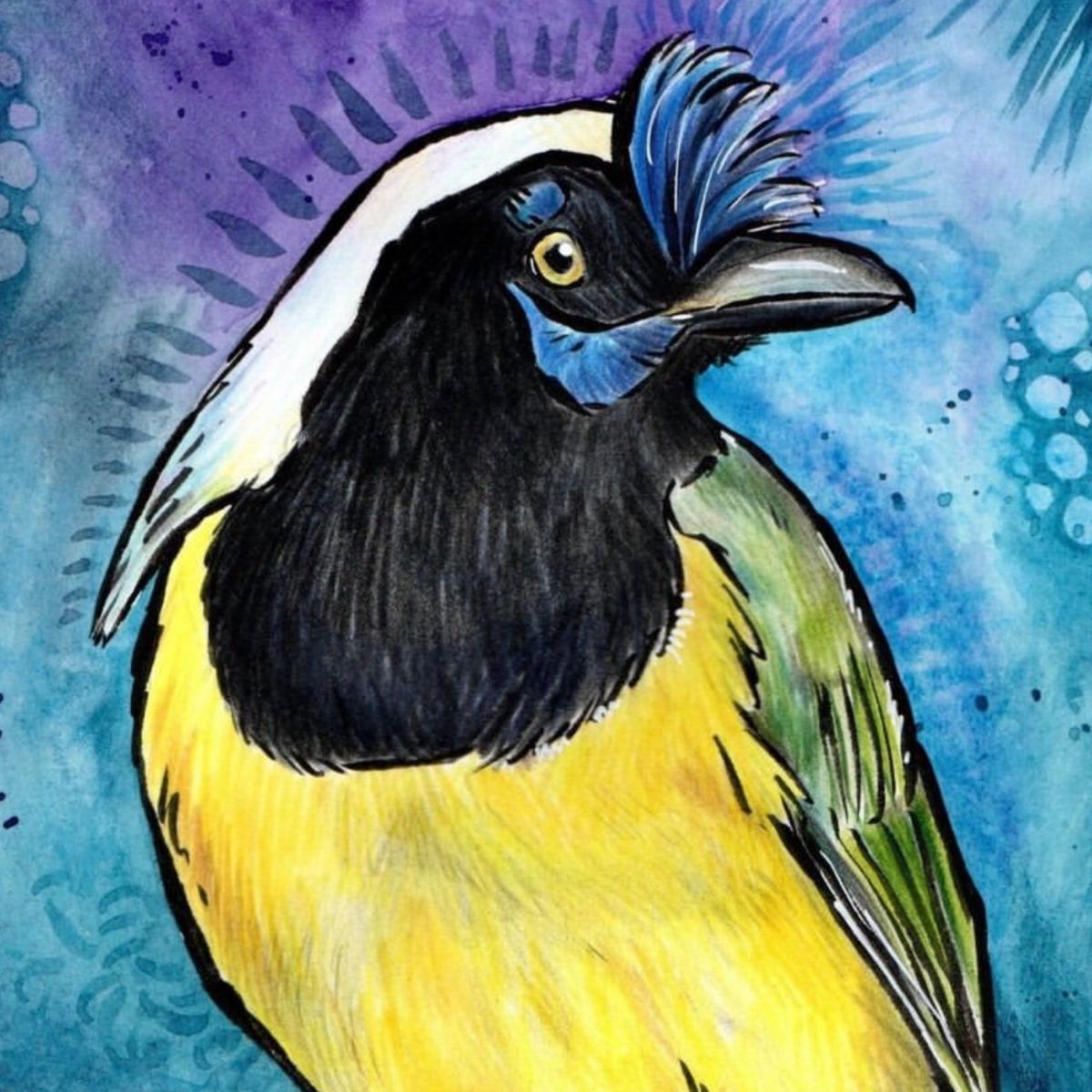 Profile