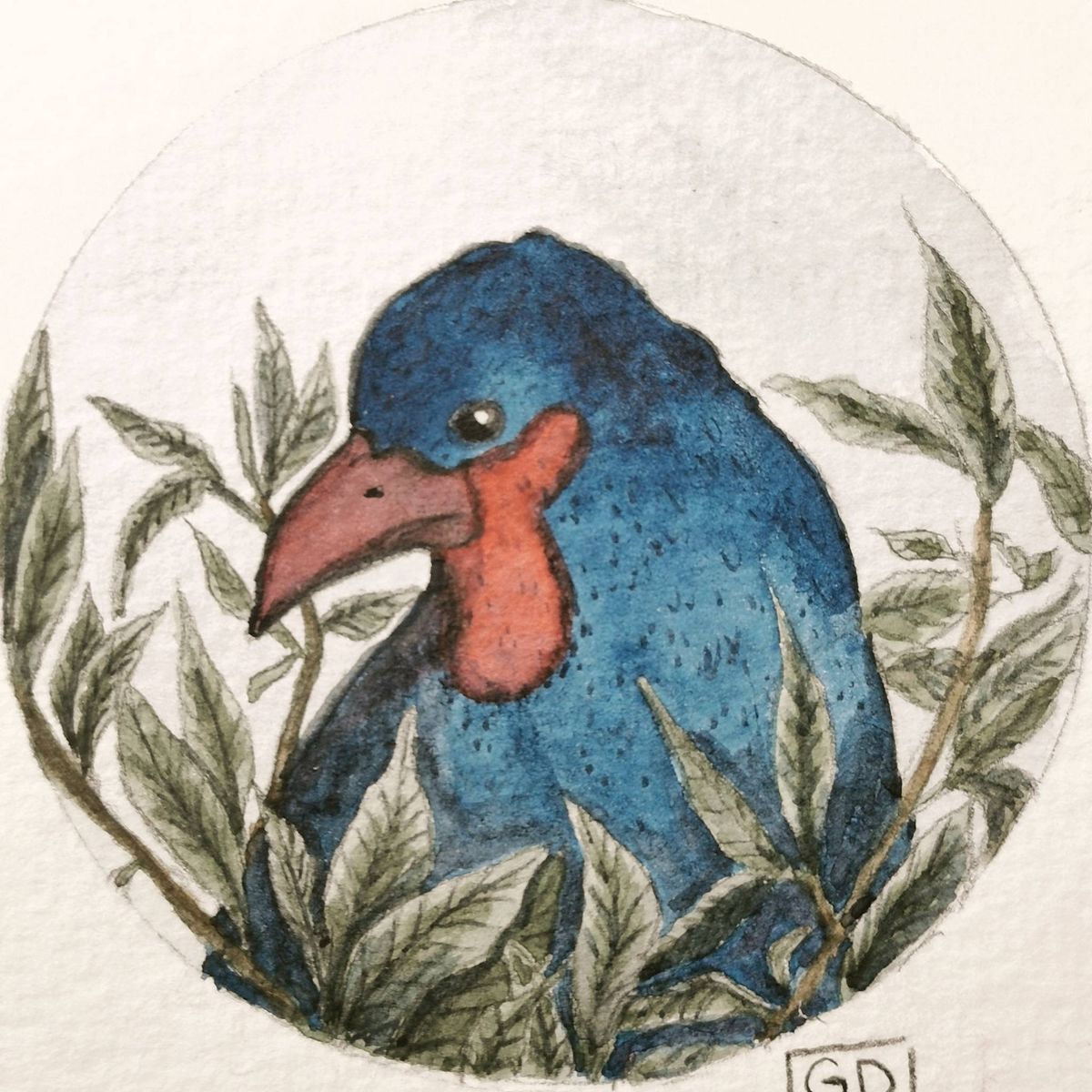 Profile Image