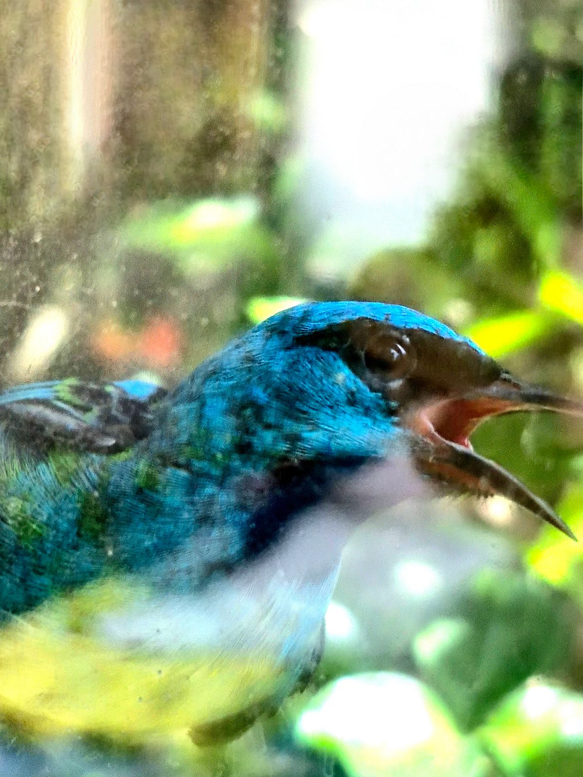 Profile