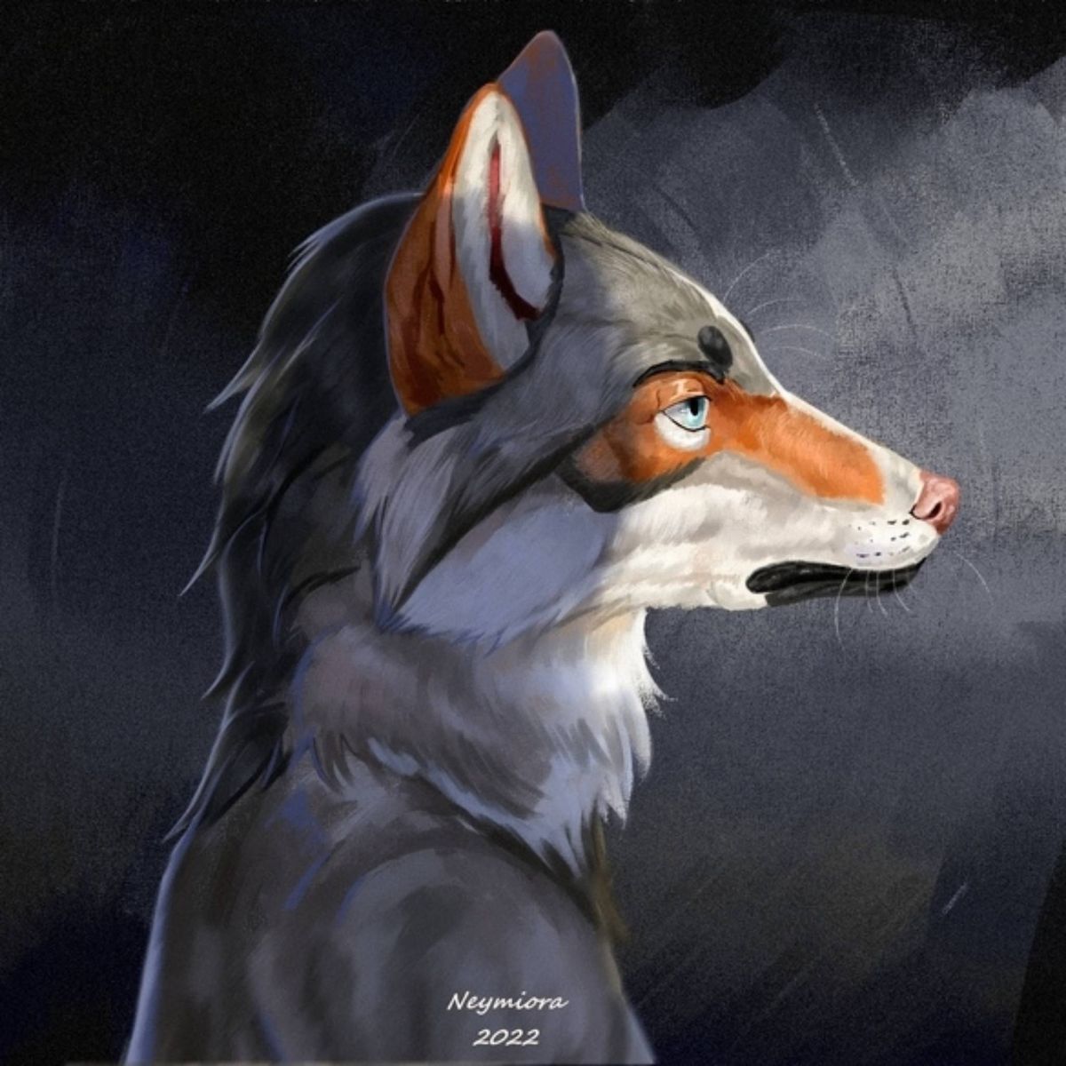 Profile Image