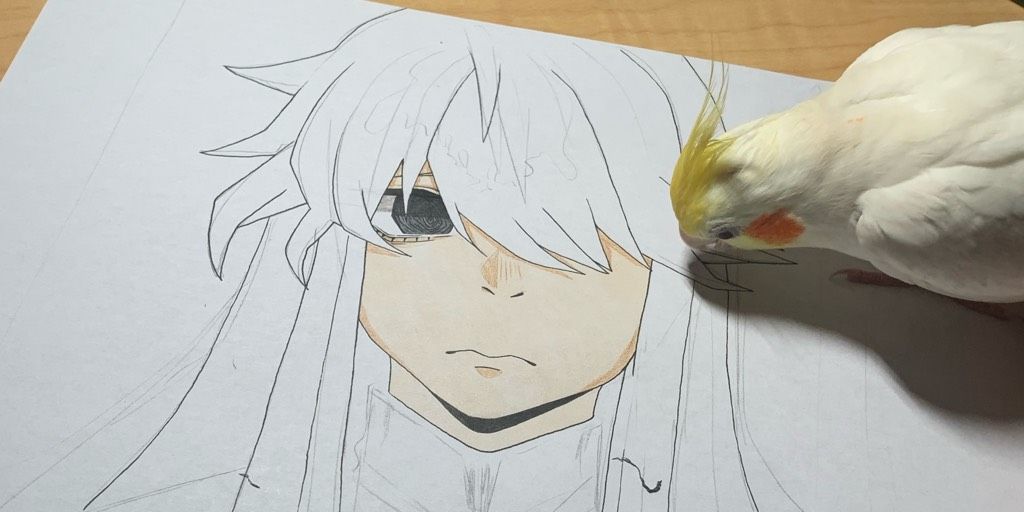 Hero artwork