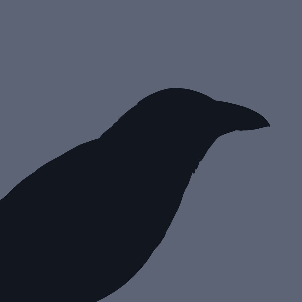 Sloartist_Raven