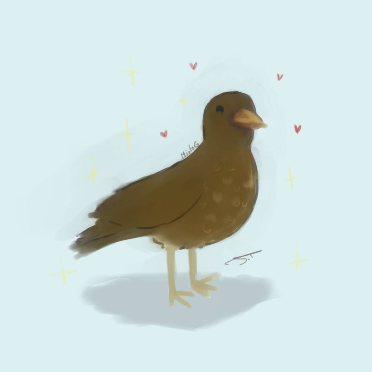 Profile Image