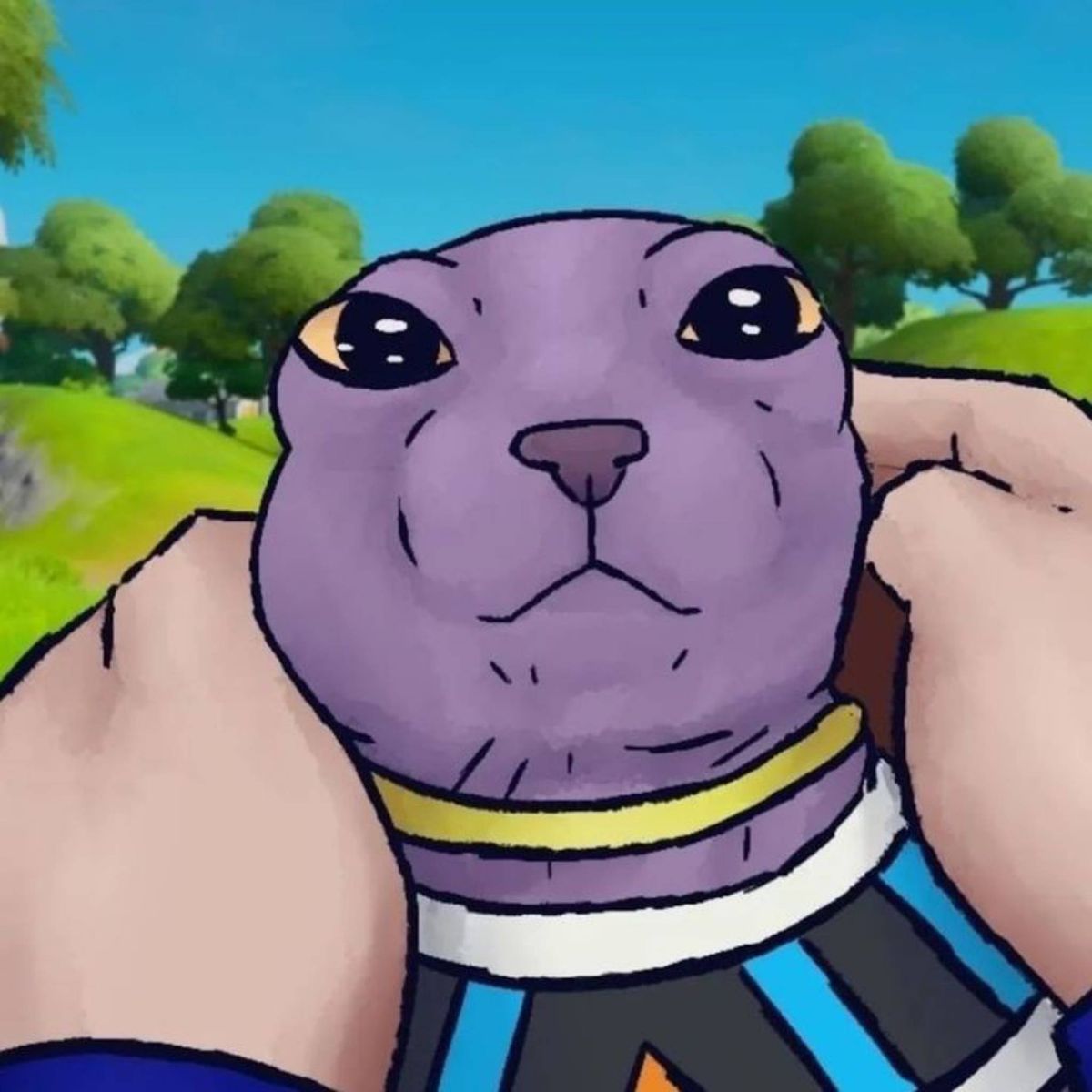Profile Image