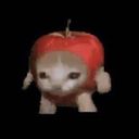 kidneyz's profile picture