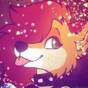 shibkit's profile picture