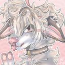 muttpvppy's profile picture