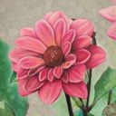 isabel_drawss's profile picture