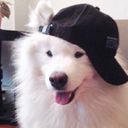 candlewaxi's profile picture