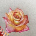 _randomdrawingstuff_'s profile picture
