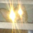 temmers's profile picture