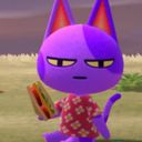 choupitroll's profile picture