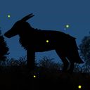 karmas_draw's profile picture
