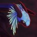 nukeular's profile picture