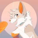 Cozen's profile picture