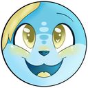 kokorodoggo's profile picture