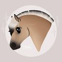 oliviasdoodles's profile picture