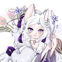 noqimir's profile picture