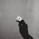 adiya_'s profile picture