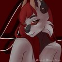 nycphi's profile picture