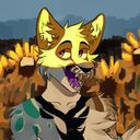 pupluck's profile picture