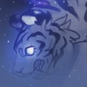 tillnorth's profile picture