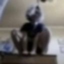 clowndigo's profile picture