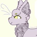 starikuu's profile picture